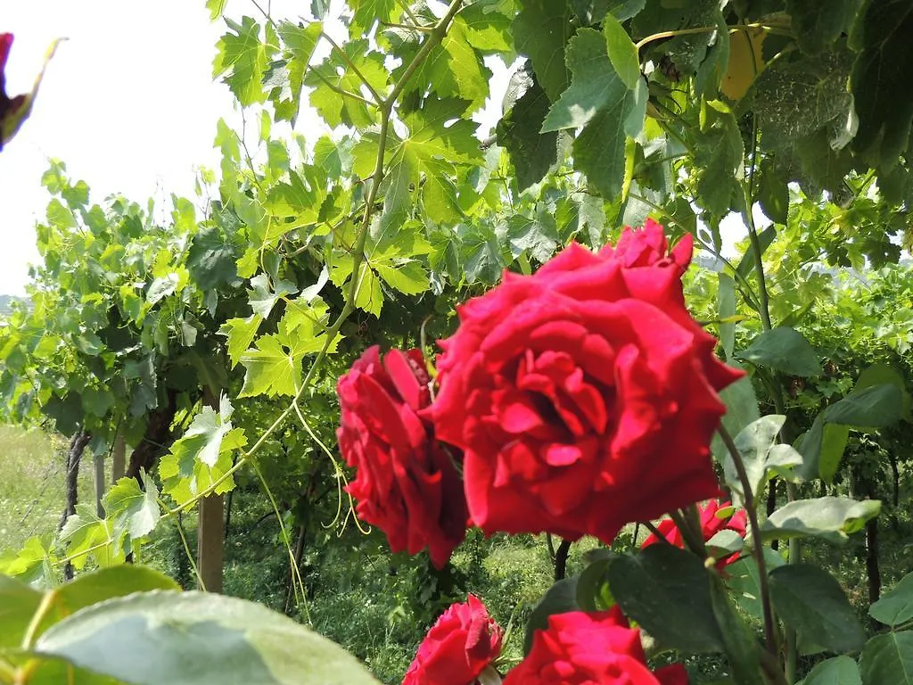 B&B Villa Monteleone SantʼAmbrogio di Valpolicella