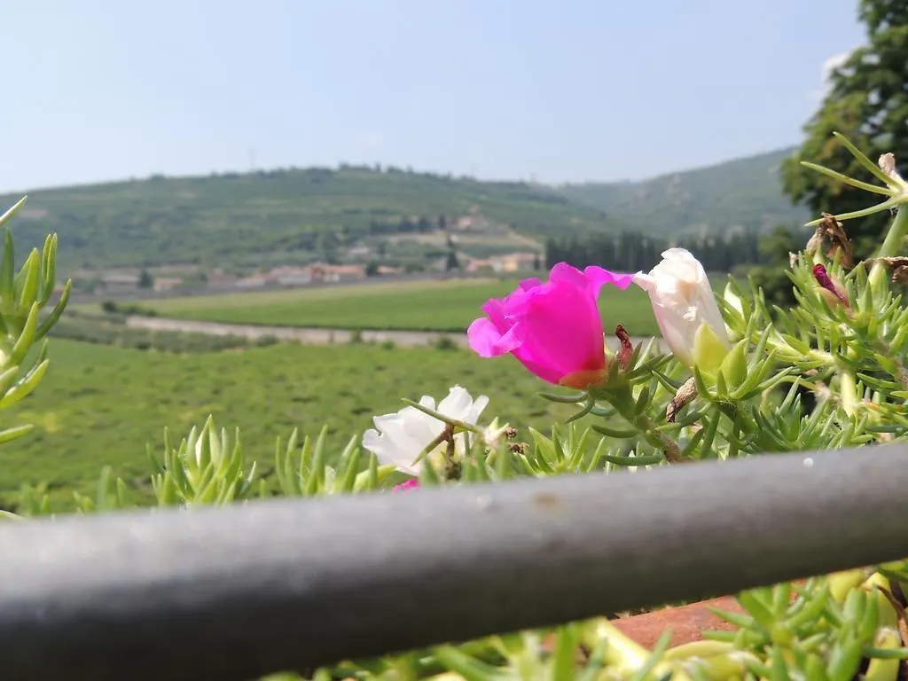 Bed & Breakfast B&B Villa Monteleone SantʼAmbrogio di Valpolicella